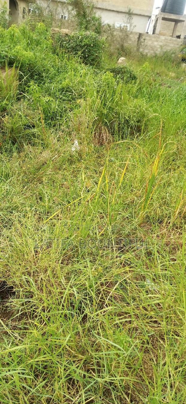 Vry Nice Land Without Water · Photo 3