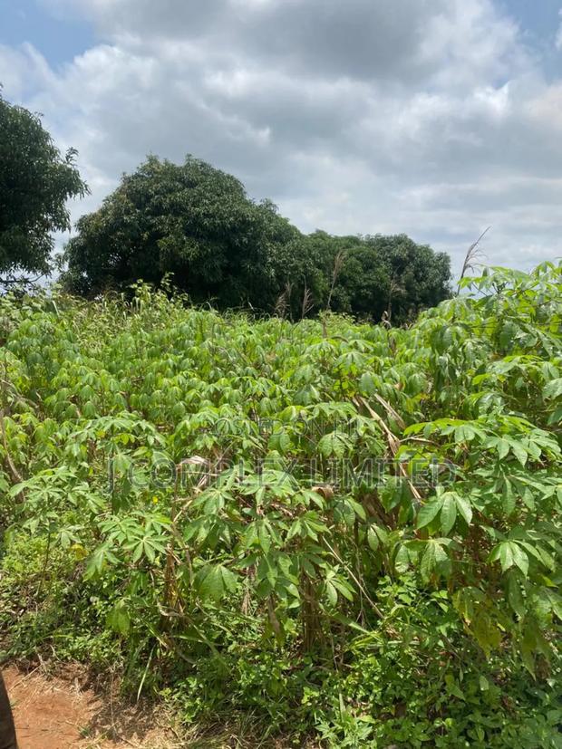 2 Plots for Sale at New Legon · Photo 2
