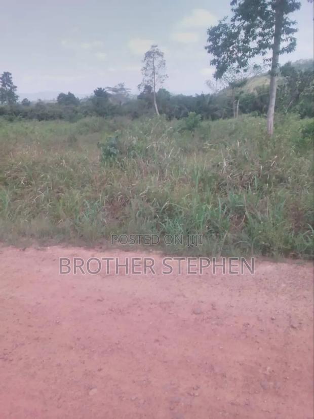 12,000 Acres of Farmland for Sale at Asamankese. · Photo 2
