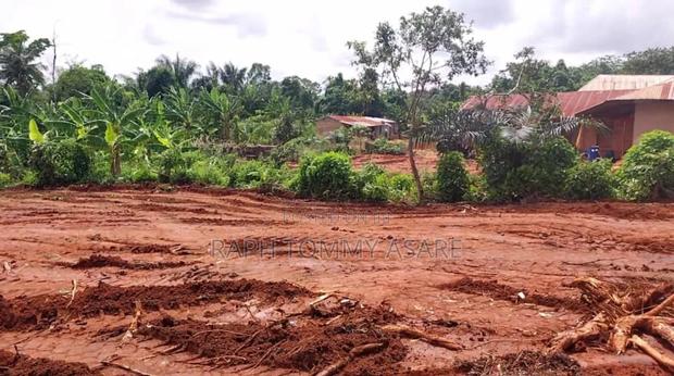 Plot of Land in the Town With No Litigation for Sale · Photo 6