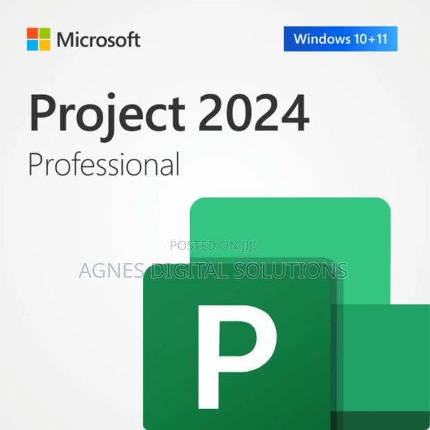 Microsoft Project 2024 Professional 1PC · Photo 1