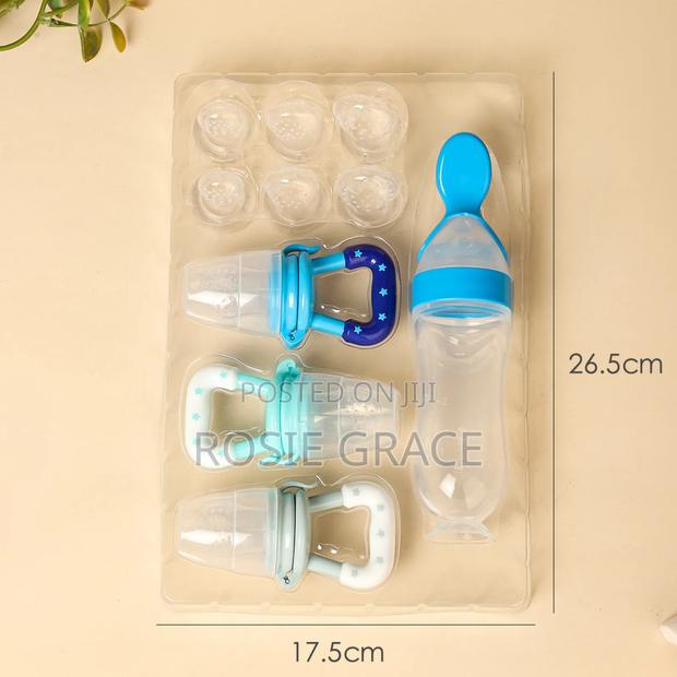 Fruit Pacifier and Feeding Spoon Set/Feeder · Photo 1