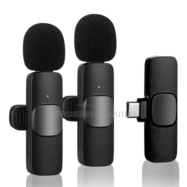 Phone Microphone