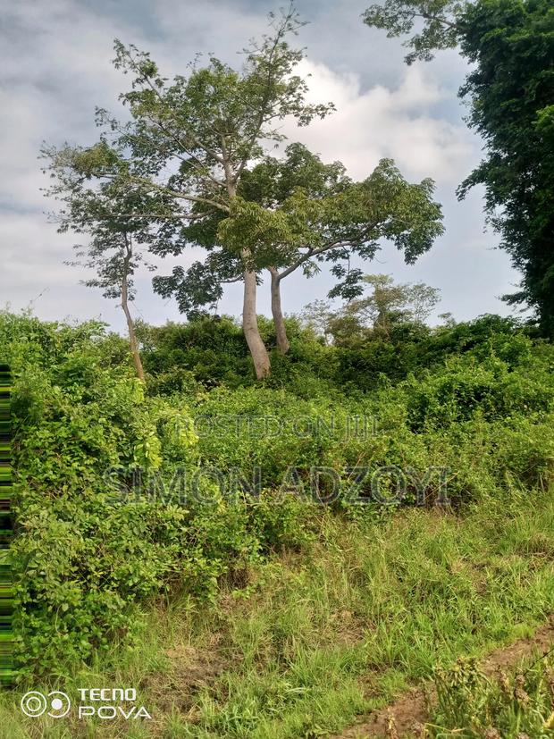 50,000 Acres of Farm Land for Login Lease · Photo 3