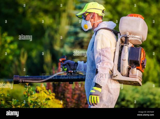 Ghana Pest Control With Cleantex · Photo 3