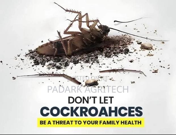Get Rid of All Pests