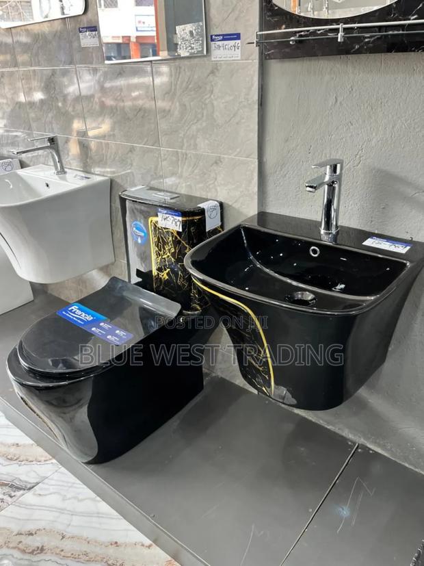 Frencia Black and Gold Water Closet With Basin