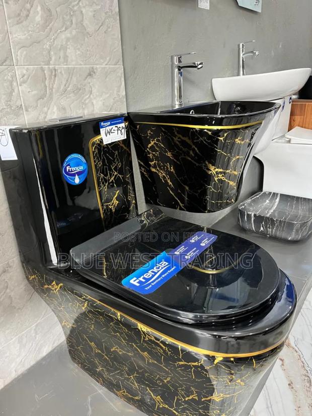 Frencia Black and Gold Water Closet With Basin · Photo 2