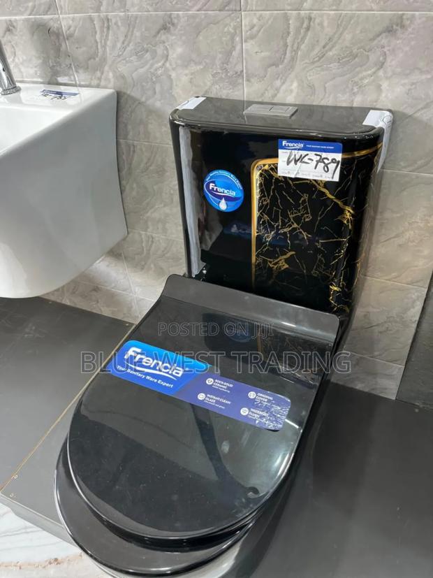 Frencia Black and Gold Water Closet With Basin · Photo 3