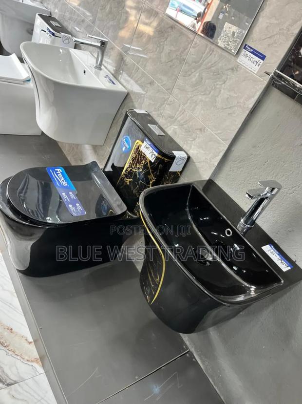 Frencia Black and Gold Water Closet With Basin · Photo 5