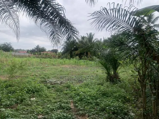 Roadside Land · Photo 1