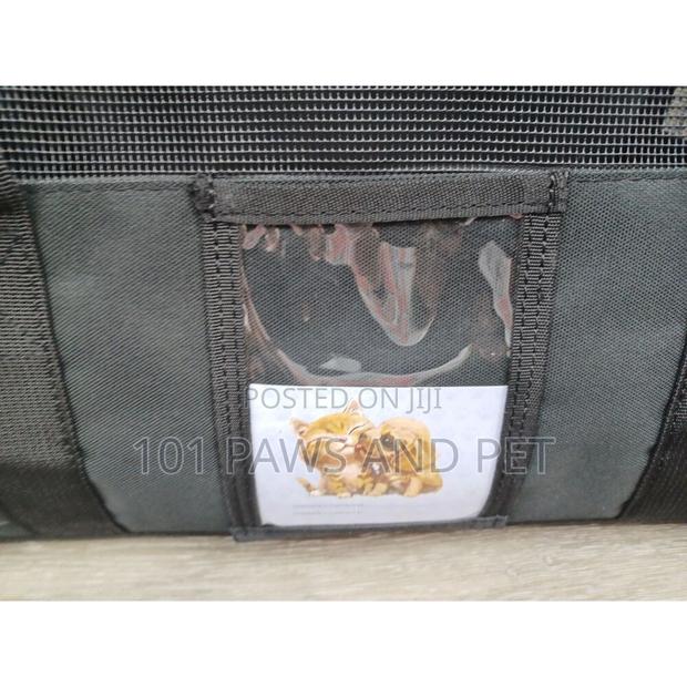 Pet Bag for Sale · Photo 5