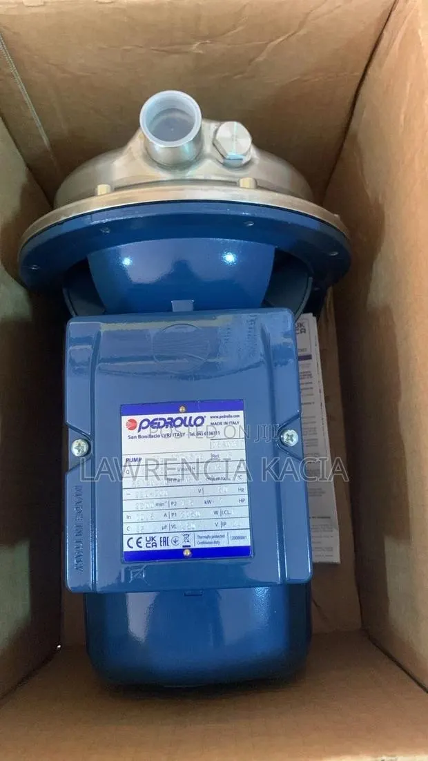 Pedrollo Water Pump · Photo 1
