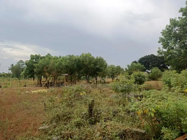 2acres of Land Walled for Sale at Tema · Photo 1