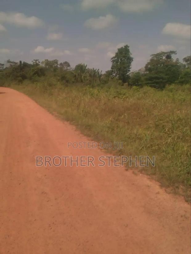 Farmland for Sale at Asamankese · Photo 2