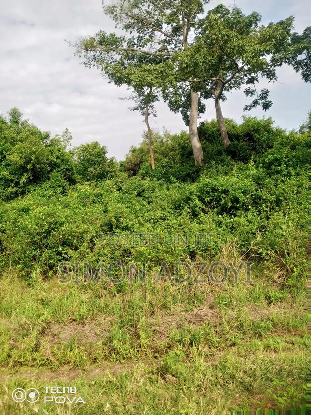 100 Acres Available for Sale · Photo 1