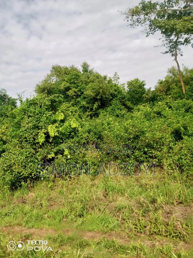 100 Acres Available for Sale · Photo 2