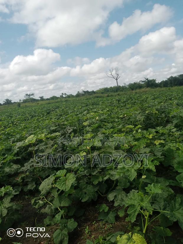 100 Acres Available for Sale · Photo 5