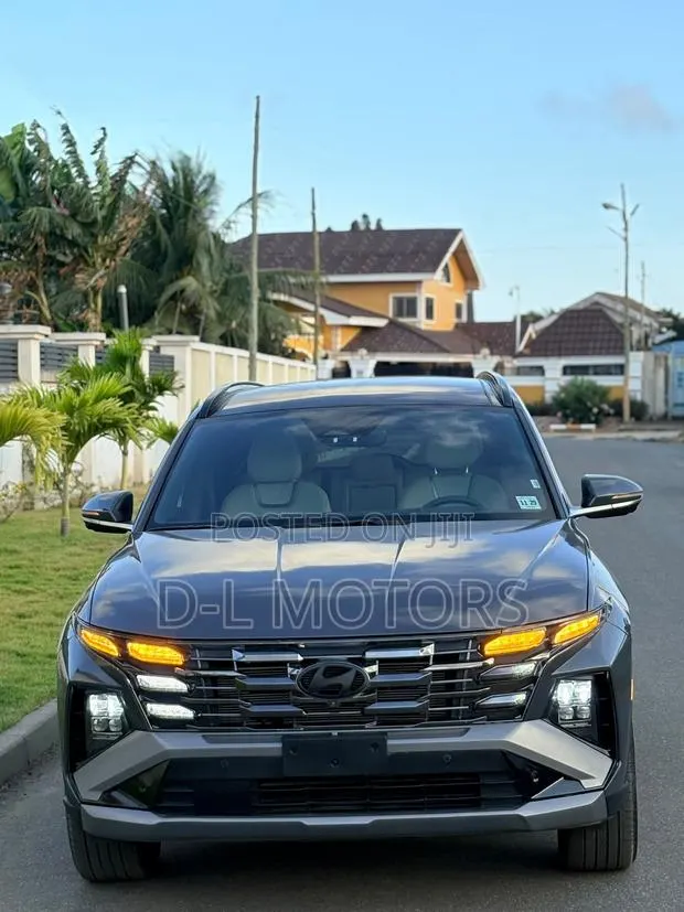 Hyundai Tucson Limited AWD 2025 Gray · Photo 1