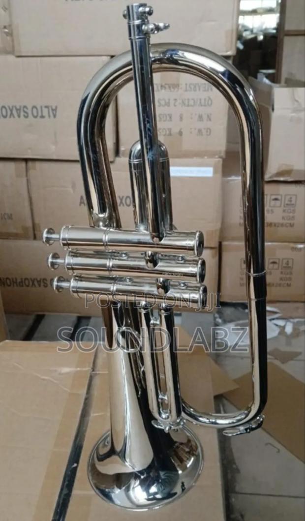 Titanic Flugel Horn · Photo 1