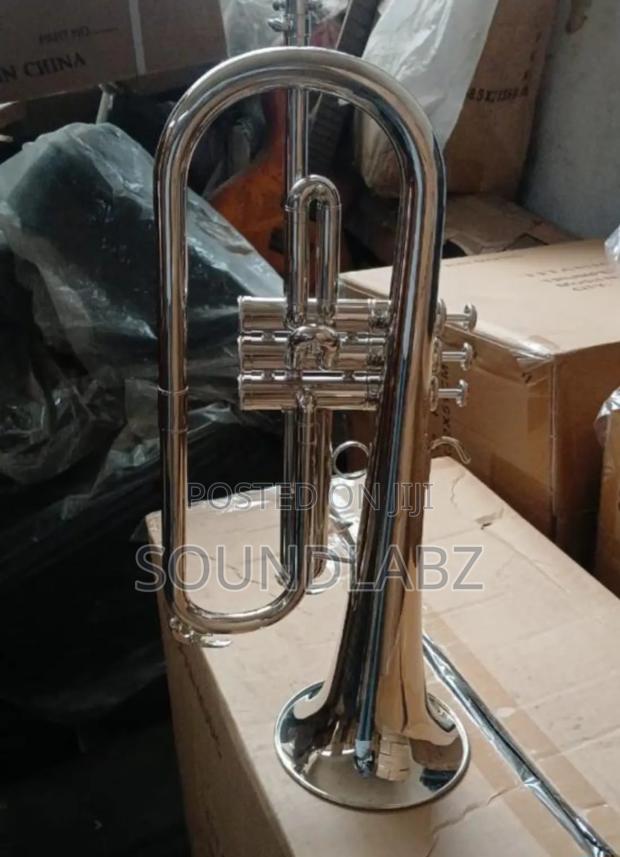 Titanic Flugel Horn · Photo 2