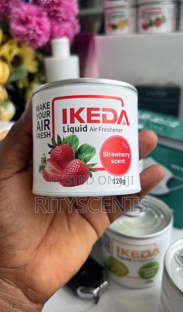 Ikeda Air Freshener · Photo 1