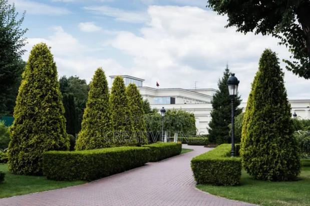 Creative Landscaping · Photo 1