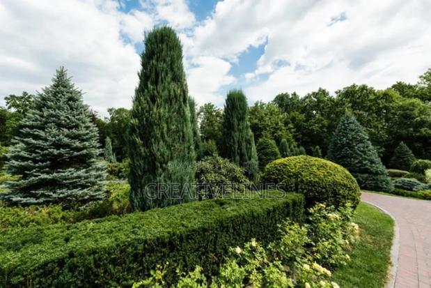 Creative Landscaping · Photo 2