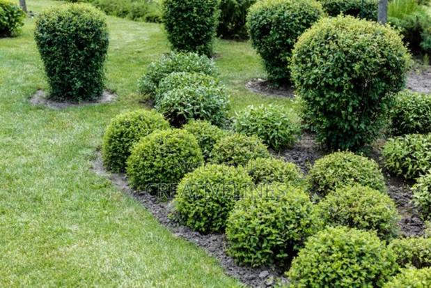 Creative Landscaping · Photo 4