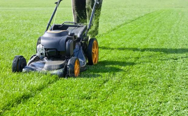 Lawn Mowing · Photo 1