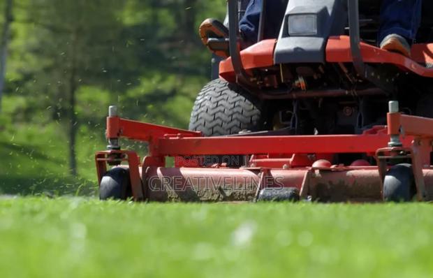 Lawn Mowing · Photo 2