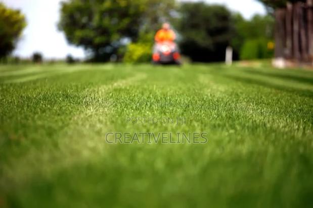 Lawn Mowing · Photo 3