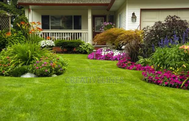 Lawn Mowing · Photo 4
