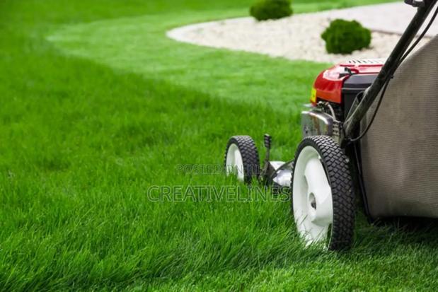 Lawn Mowing · Photo 5