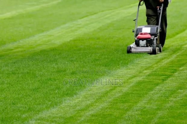 Lawn Mowing · Photo 6