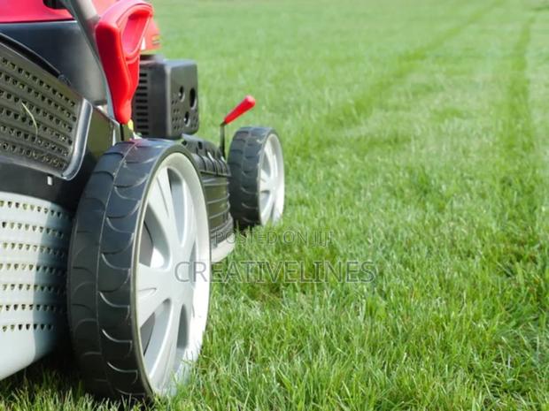 Lawn Mowing · Photo 7