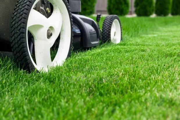Lawn Mowing · Photo 8