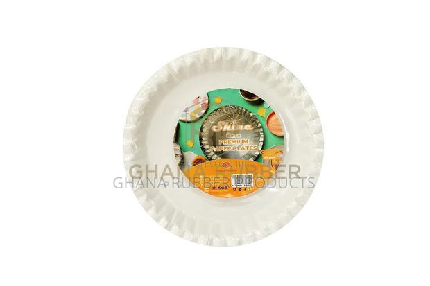 Premium Paper Plates 8-Inch (500pcs) · Photo 3