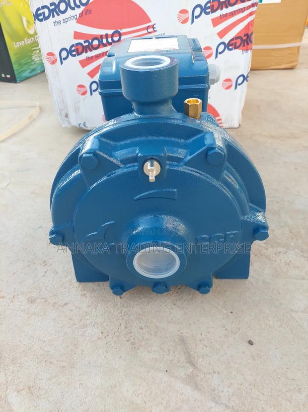 Pedrollo Water Pump · Photo 2