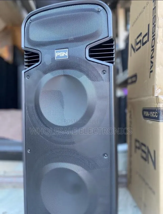 PSN Rechargeable Speaker Double 15 Inches · Photo 1