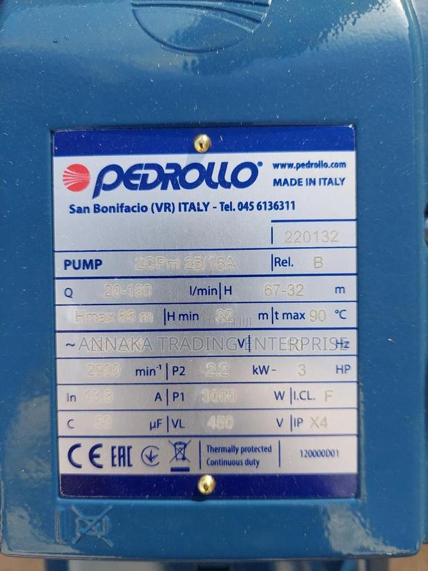Pedrollo Water Pump · Photo 3