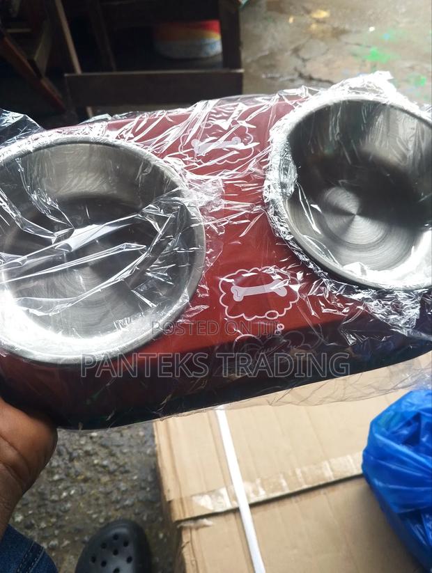 Double Dog Bowl · Photo 1