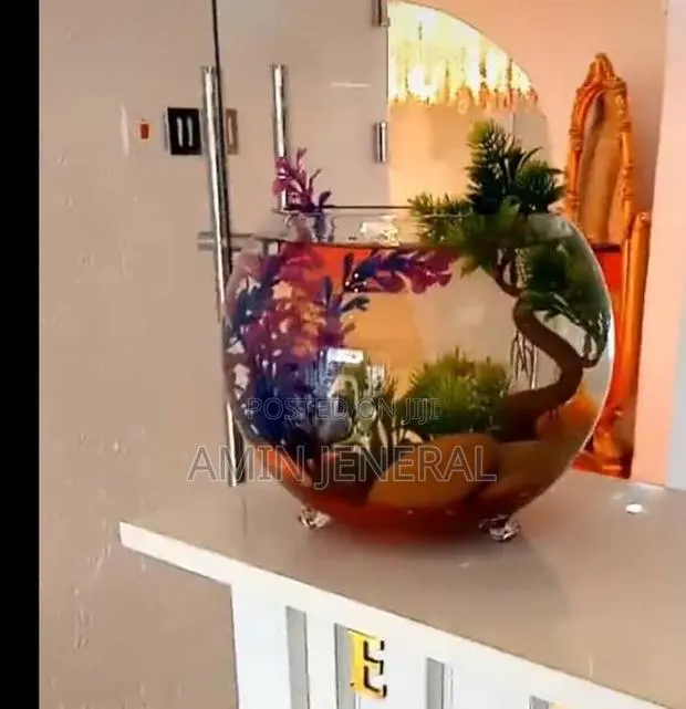 Table Top Aquarium · Photo 1