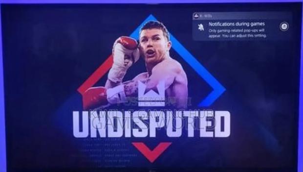 Undisputed Ps5 Game Installations · Photo 2