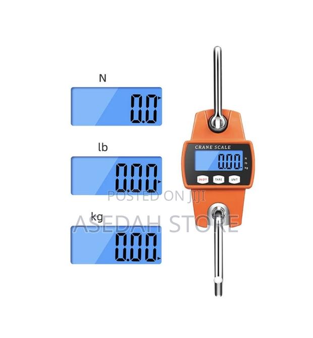 Portable Digital Electronic 300kg Mini Crane Scale · Photo 1