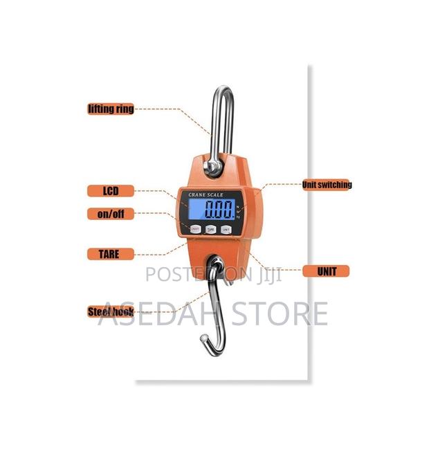 Portable Digital Electronic 300kg Mini Crane Scale · Photo 3