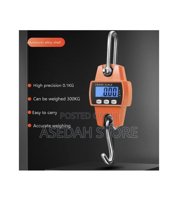 Portable Digital Electronic 300kg Mini Crane Scale · Photo 4