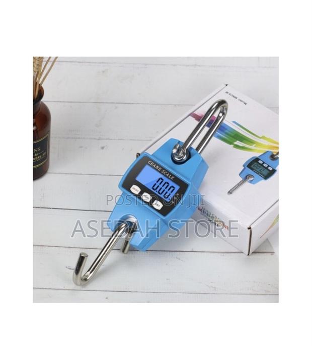 Portable Digital Electronic 300kg Mini Crane Scale · Photo 2