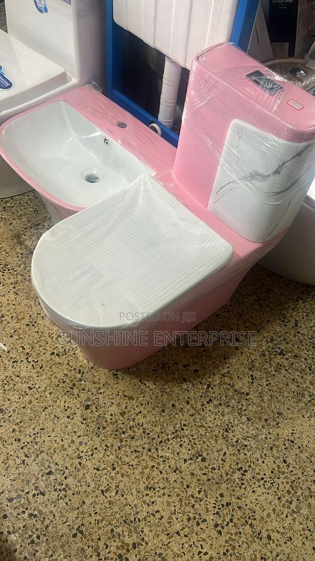 Pink and White Water Closet With Hand Wash Basin · Photo 1