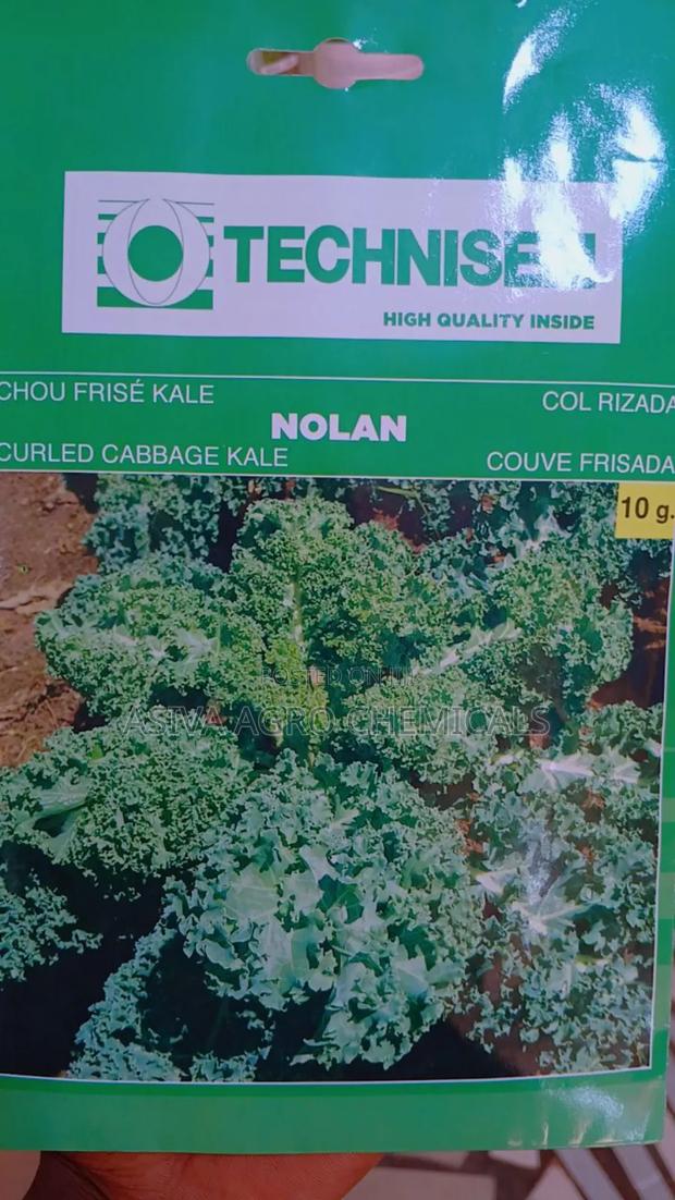 Kale Seeds · Photo 1